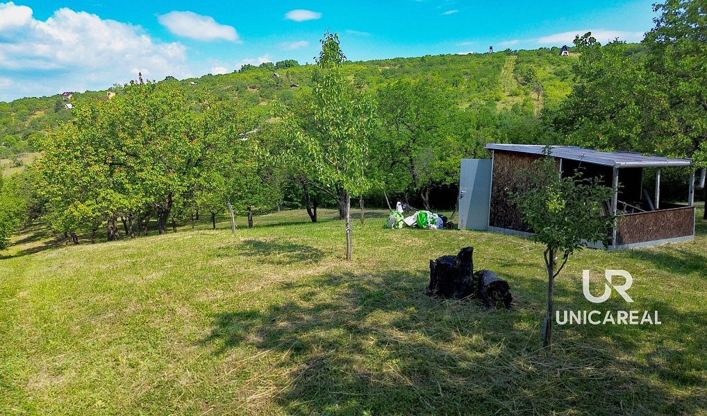 Prodej pole 3 851 m², Židlochovice – náhled fotky 15