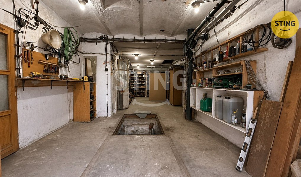 Prodej domu 280 m² s pozemkem 259 m², Bruntál – náhled fotky 16
