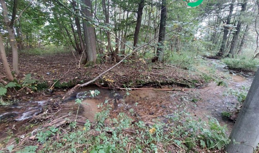 Prodej stavebního pozemku 626 m², Červená Voda – náhled fotky 4