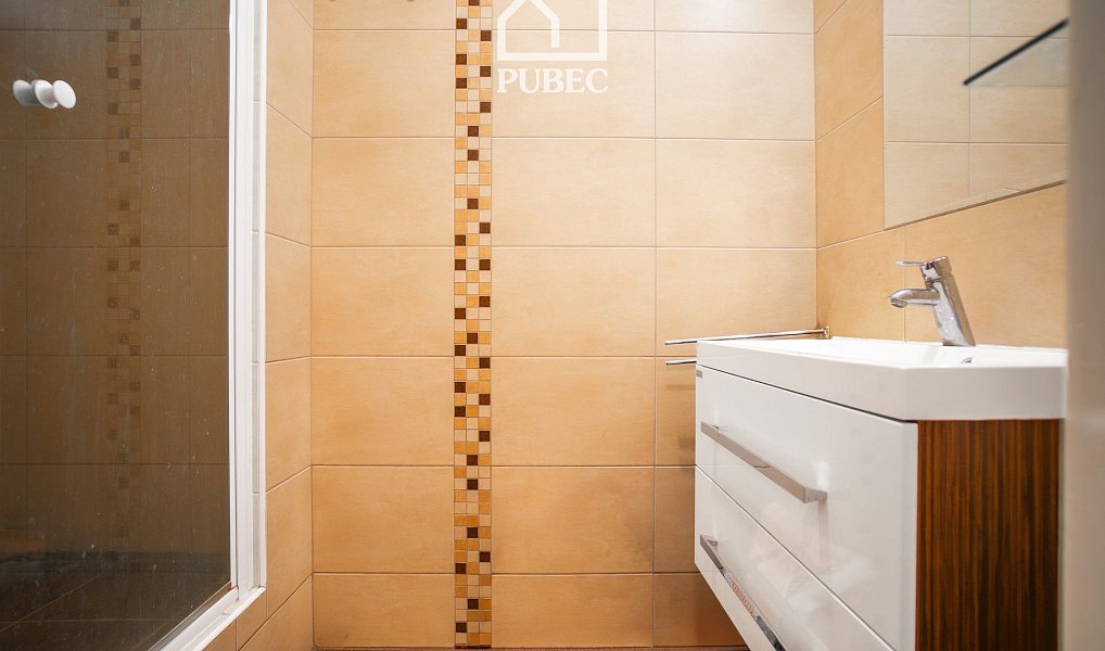 Prodej bytu 2+1 50 m², Plzeň – náhled fotky 11
