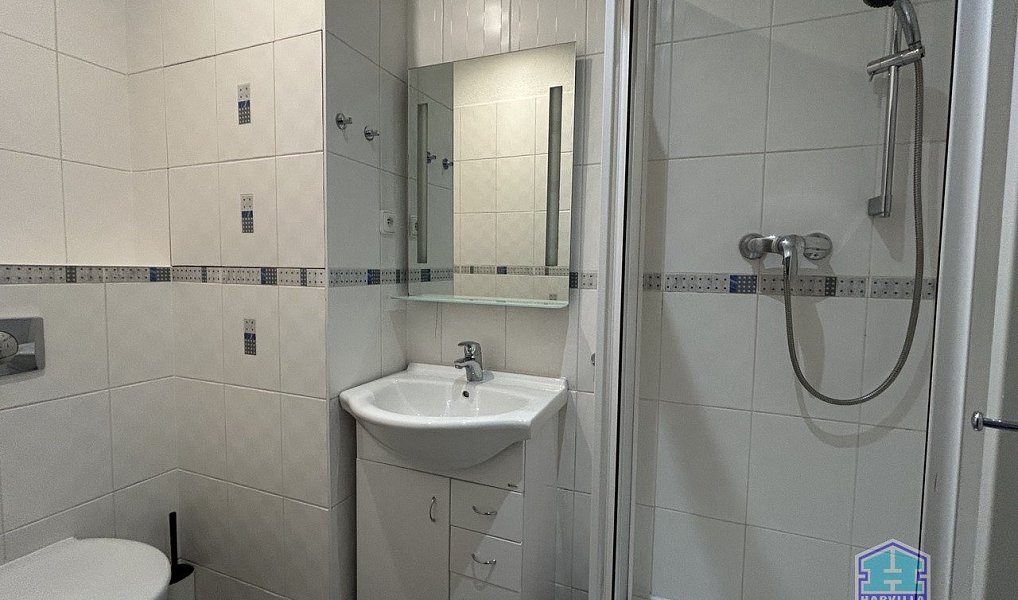 Pronájem bytu 1+1 35 m², Plzeň – náhled fotky 7
