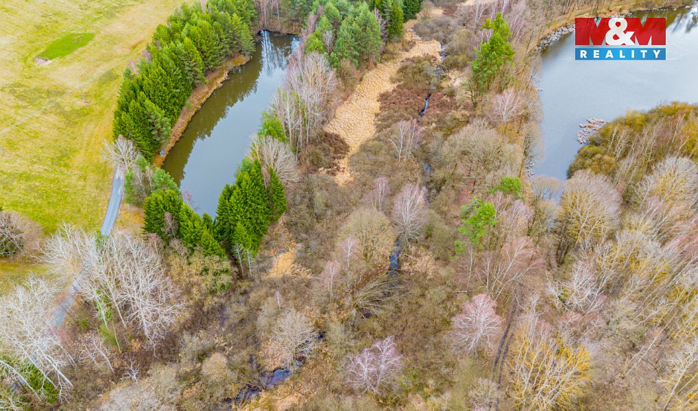 Prodej vodní plochy 8 649 m², Dvory nad Lužnicí – náhled fotky 7