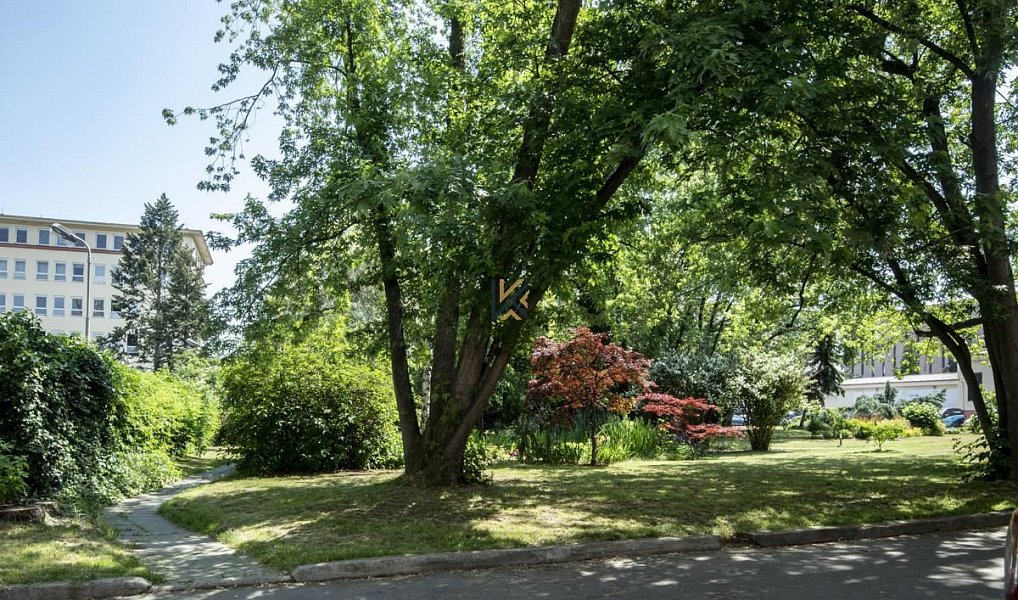 Pronájem kanceláře 75 m², Praha – náhled fotky 5