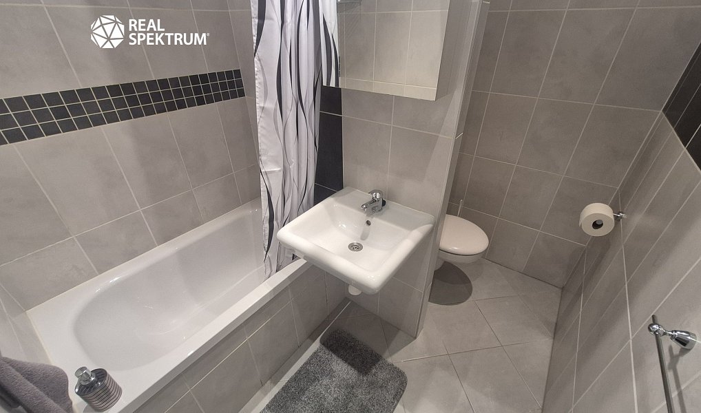 Pronájem bytu 1+kk 28 m², Brno – náhled fotky 8