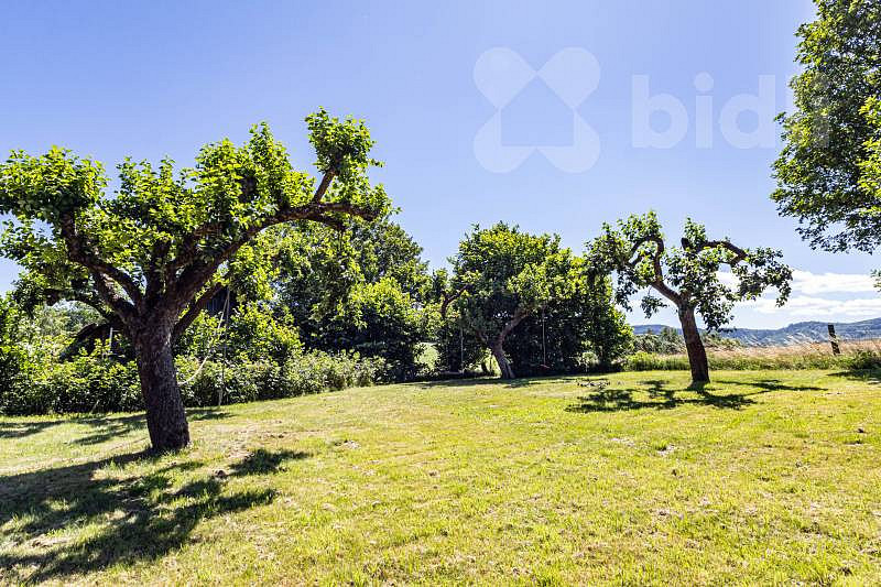 Fotka 24 z 30