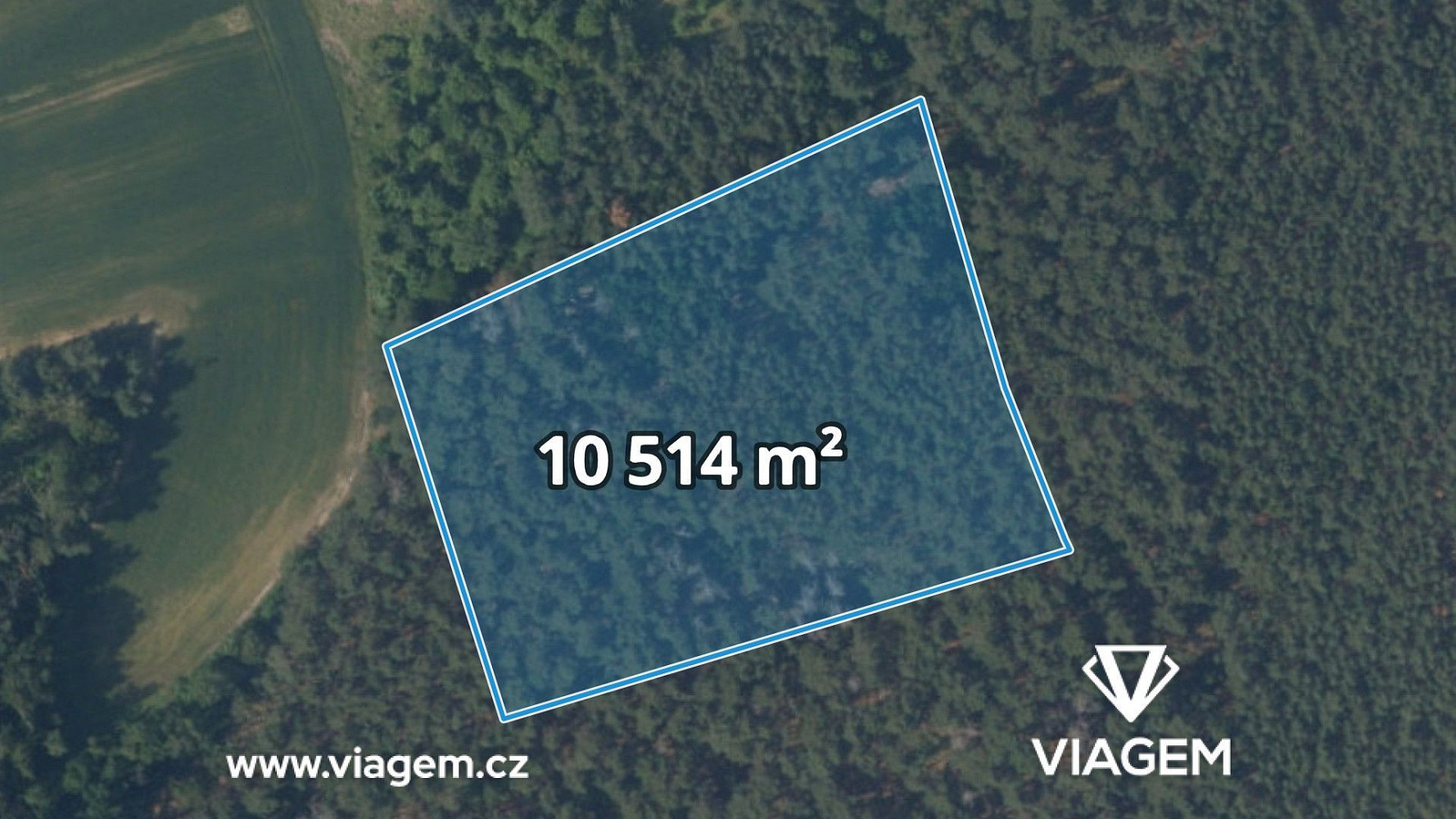 Prodej lesa 2 102 m² – fotografie 3