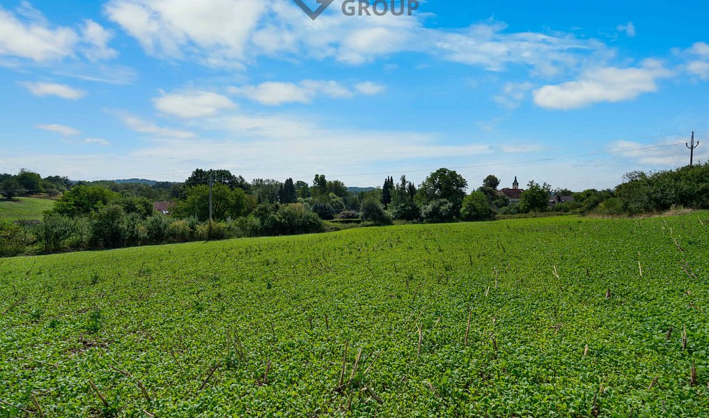 Prodej stavebního pozemku 8 005 m², Putim – náhled fotky 10