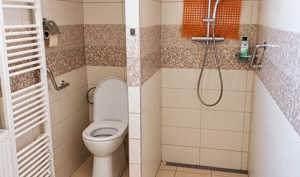 Prodej domu 169 m² s pozemkem 6 642 m², Hořice – náhled fotky 9