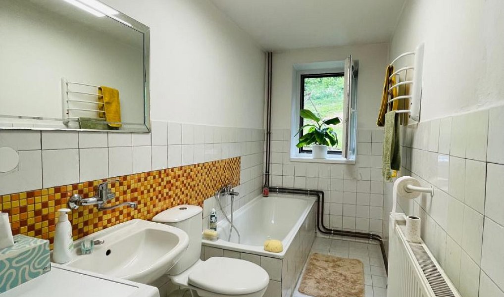 Prodej domu 130 m² s pozemkem 1 063 m², Čtveřín – náhled fotky 17