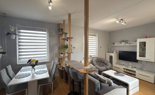 Prodej bytu 4+1 67 m², M. Chlajna, České Budějovice - České Budějovice 2