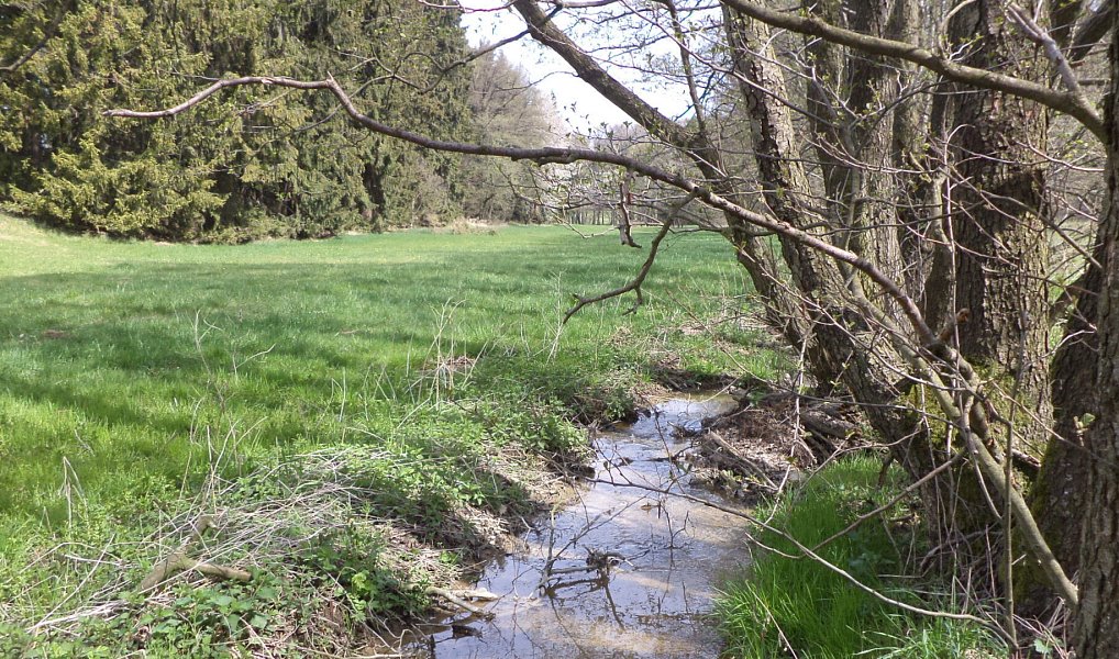 Prodej pole 8 388 m², Mezno – náhled fotky 2