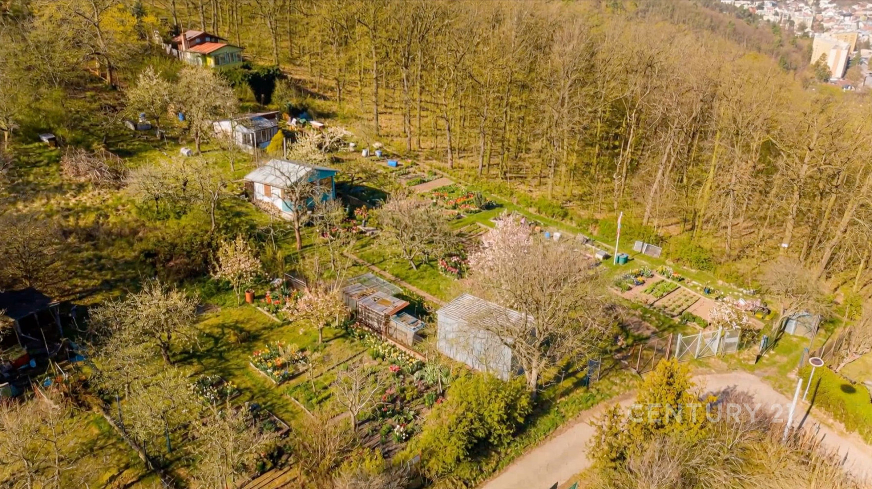 Prodej zahrady 1 873 m² – fotografie 3