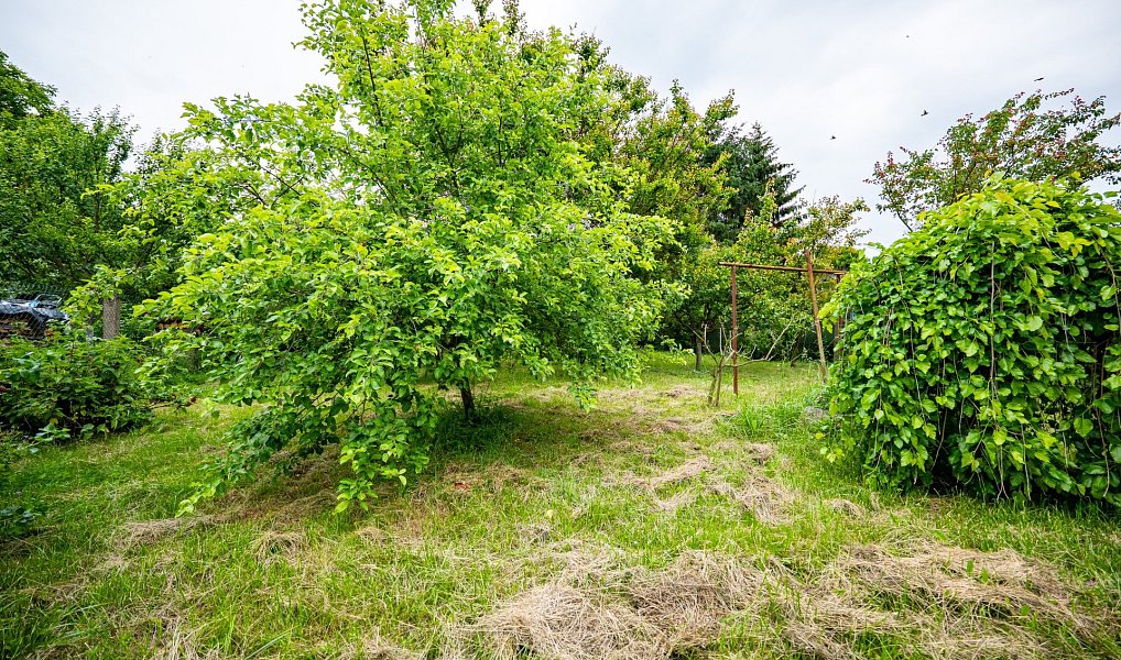 Prodej domu 65 m² s pozemkem 651 m², Ráječko – náhled fotky 19