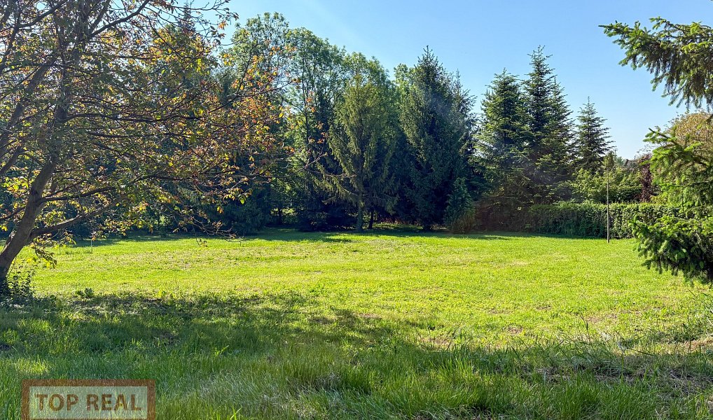 Prodej domu 257 m² s pozemkem 5 234 m², Přerov – náhled fotky 31
