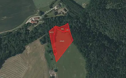 Prodej louky 10 783 m², Lhenice - Třebanice, okres Prachatice