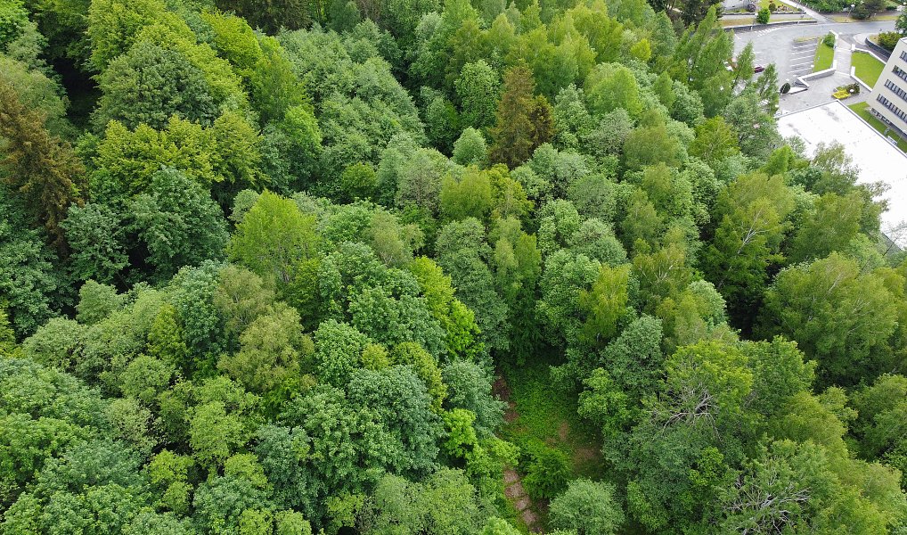 Prodej stavebního pozemku 406 m², Jeseník – náhled fotky 5