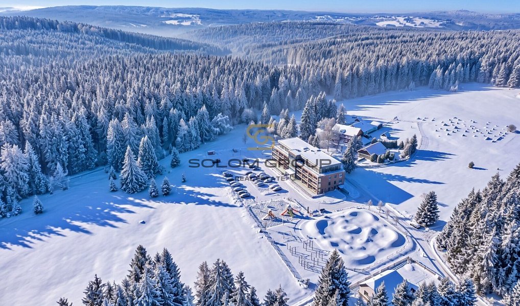 Prodej komerčního pozemku 10 387 m², Potůčky – náhled fotky 8