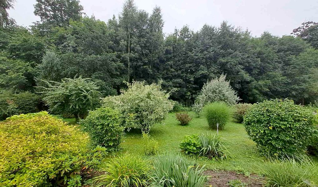 Prodej stavebního pozemku 846 m², Staré Město – náhled fotky 7