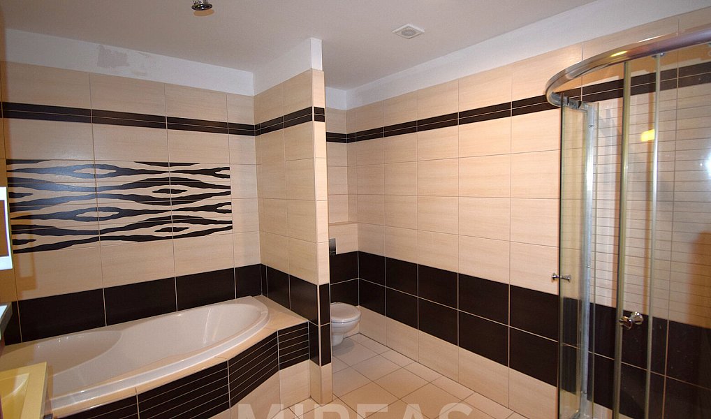 Pronájem bytu 3+kk 99 m², Milovice – náhled fotky 8