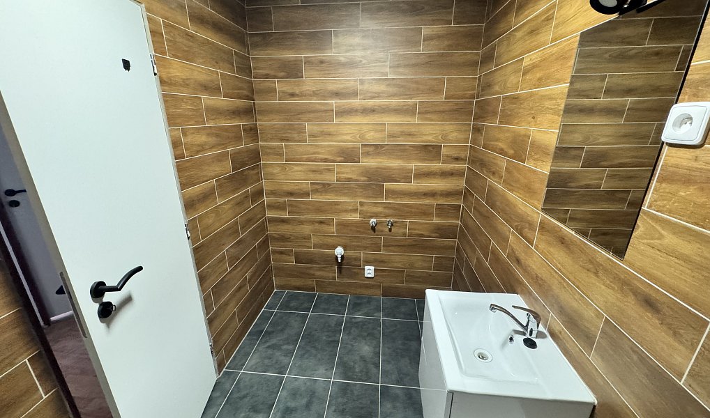 Pronájem bytu 1+1 35 m², Brňany – náhled fotky 7