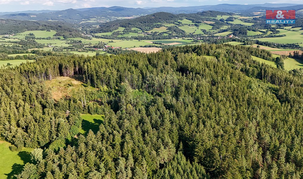 Prodej lesa 15 707 m², Petrovice u Sušice – náhled fotky 22