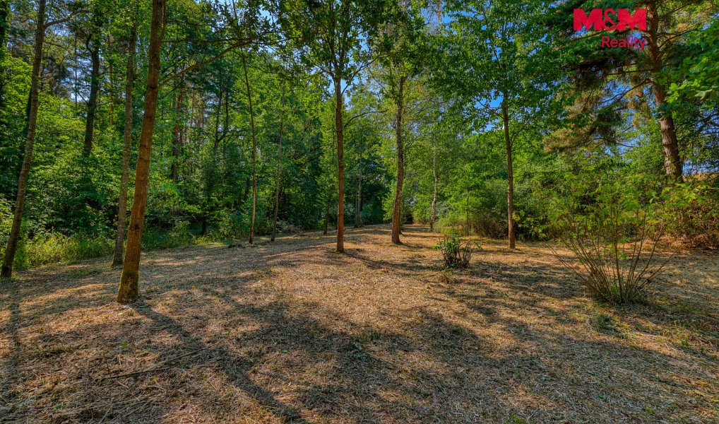 Prodej zahrady 2 248 m², Velký Bor – náhled fotky 3