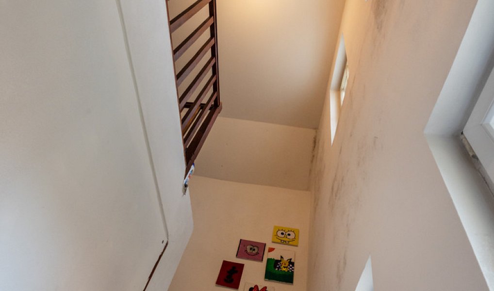 Prodej domu 178 m² s pozemkem 406 m², Tábor – náhled fotky 21
