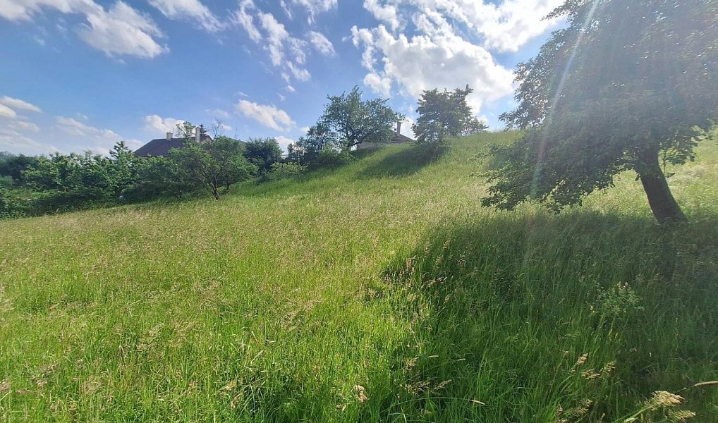 Prodej stavebního pozemku 2 318 m², Malé Svatoňovice – náhled fotky 10