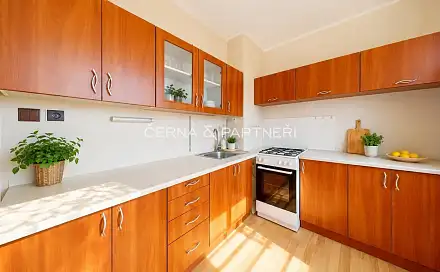 Prodej bytu 1+1 34 m², Aléská, Bílina - Pražské Předměstí, okres Teplice