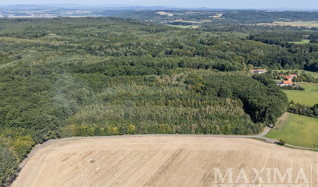 Prodej pole 3 636 m², Lhotky – náhled fotky 11