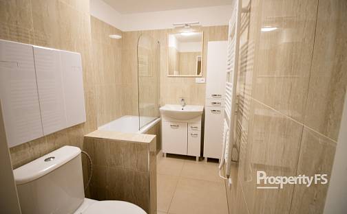 Pronájem bytu 2+1 61 m², Stará, Ústí nad Labem - Ústí nad Labem-centrum