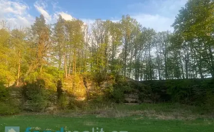 Prodej pole 3 829 m², Tachov, okres Česká Lípa