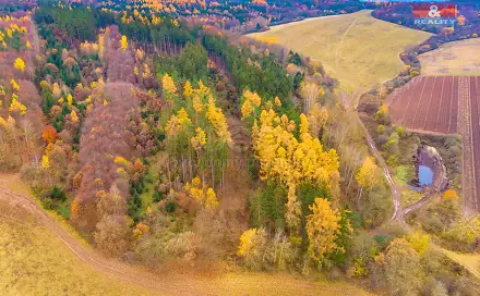Prodej lesa 2 921 m², Tuchořice, okres Louny