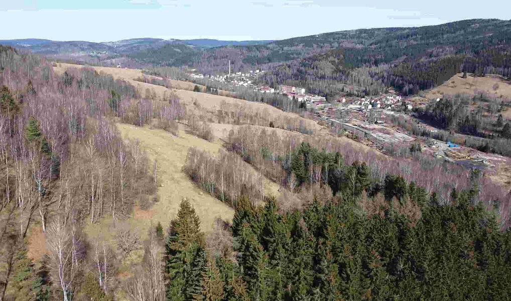 Prodej pole 3 869 m², Kraslice – náhled fotky 4