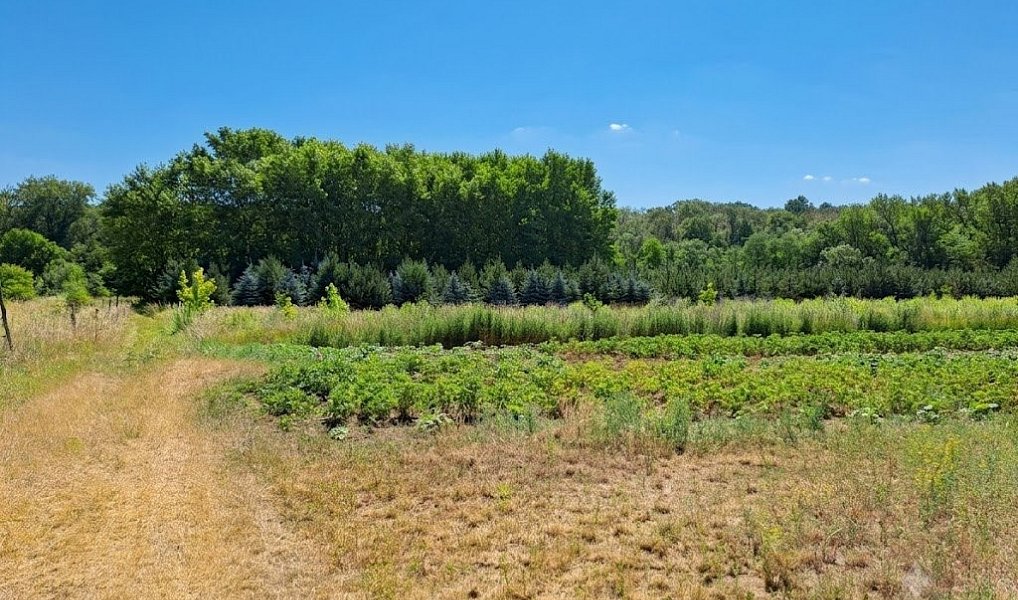 Prodej pole 5 202 m², Znojmo – náhled fotky 5
