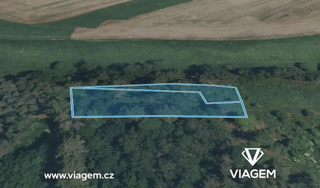 Prodej lesa 1 300 m², Sepekov – náhled fotky 2