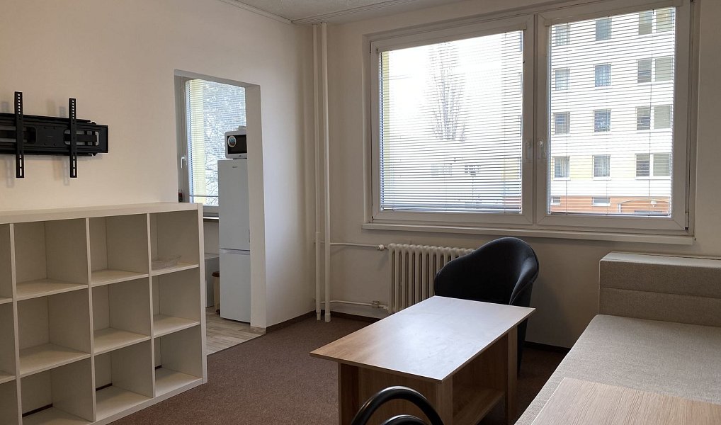 Pronájem bytu 1+1 30 m², Praha – náhled fotky 3
