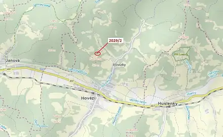 Dražba lesa 788 m², Hovězí
