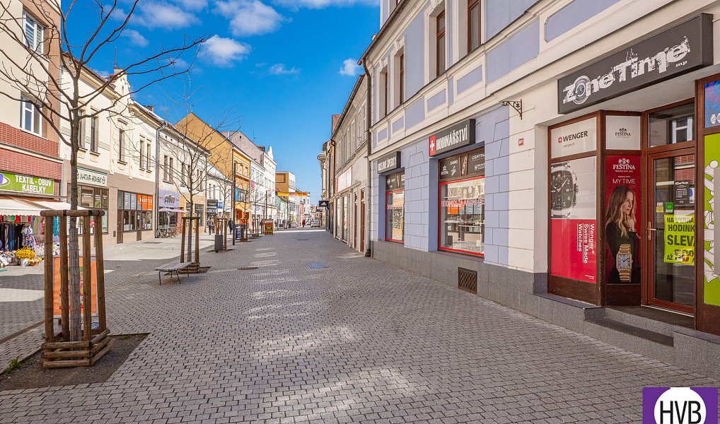 Prodej bytu 3+kk 55 m², Kladno – náhled fotky 18