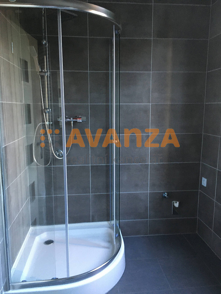 Pronájem bytu 1+1 38 m² — photo 4