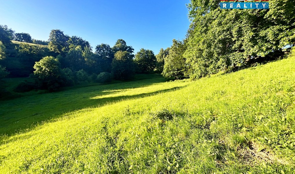 Prodej louky 5 449 m², Teplice nad Metují – náhled fotky 16