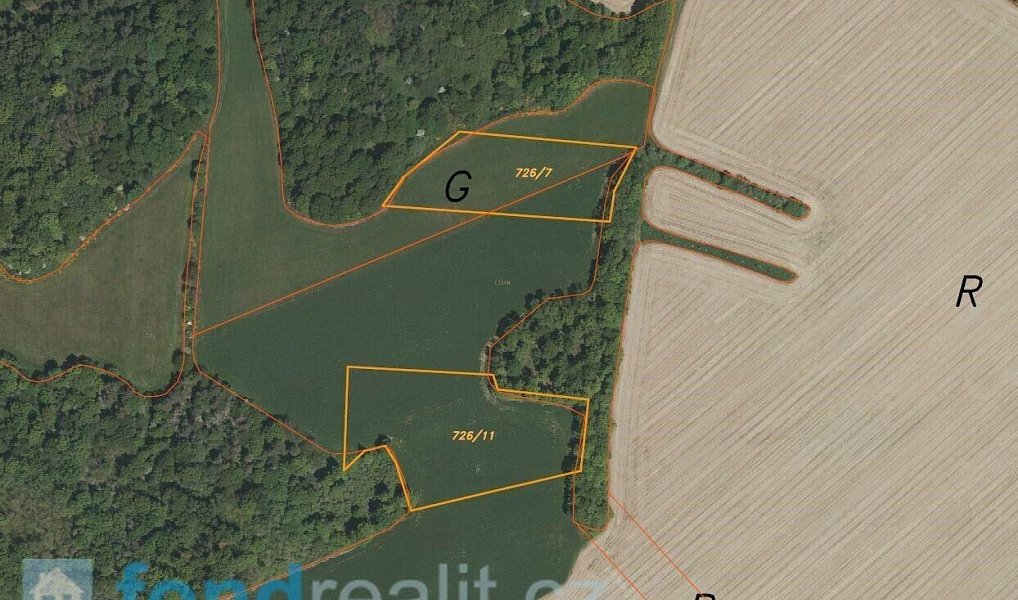 Prodej pole 18 412 m², Dříteň – náhled fotky 3