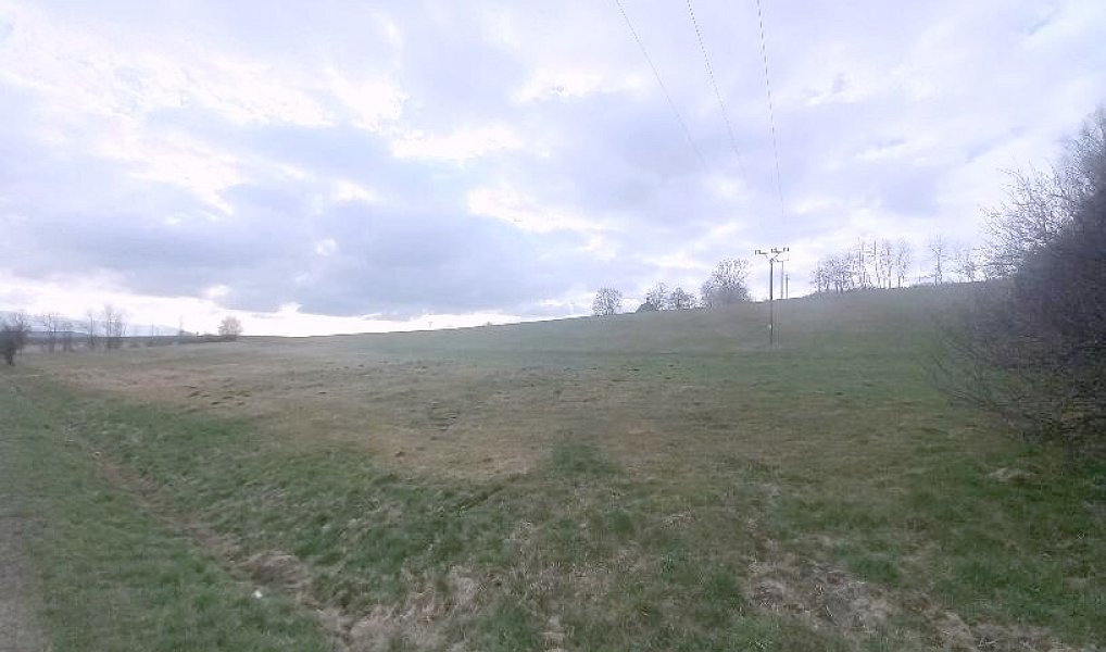 Prodej pole 1 481 m², Všeruby – náhled fotky 4