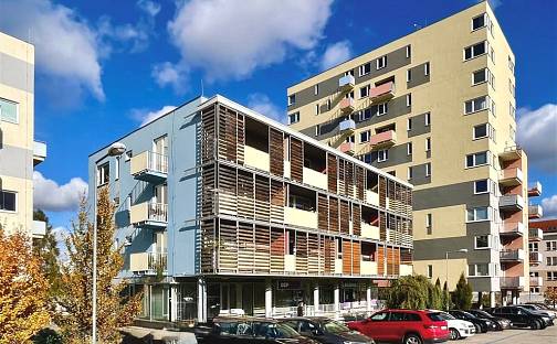 Pronájem bytu 1+kk 51 m², Jihlava