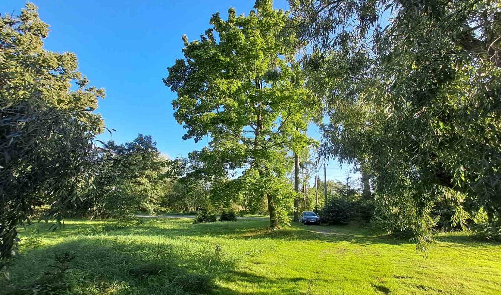 Prodej zahrady 719 m², Město Albrechtice – náhled fotky 8