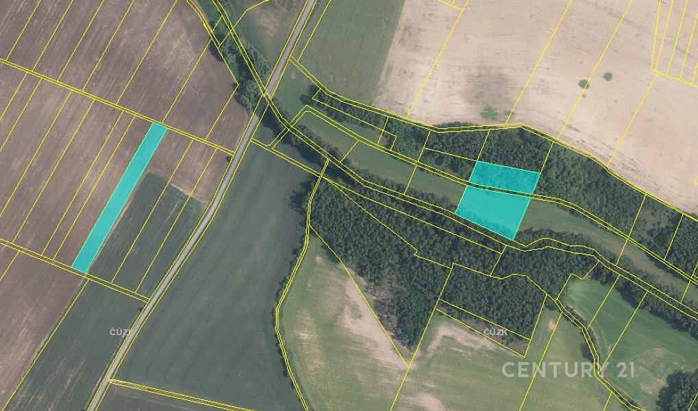 Prodej pole 7 215 m², Křepice – náhled fotky 3