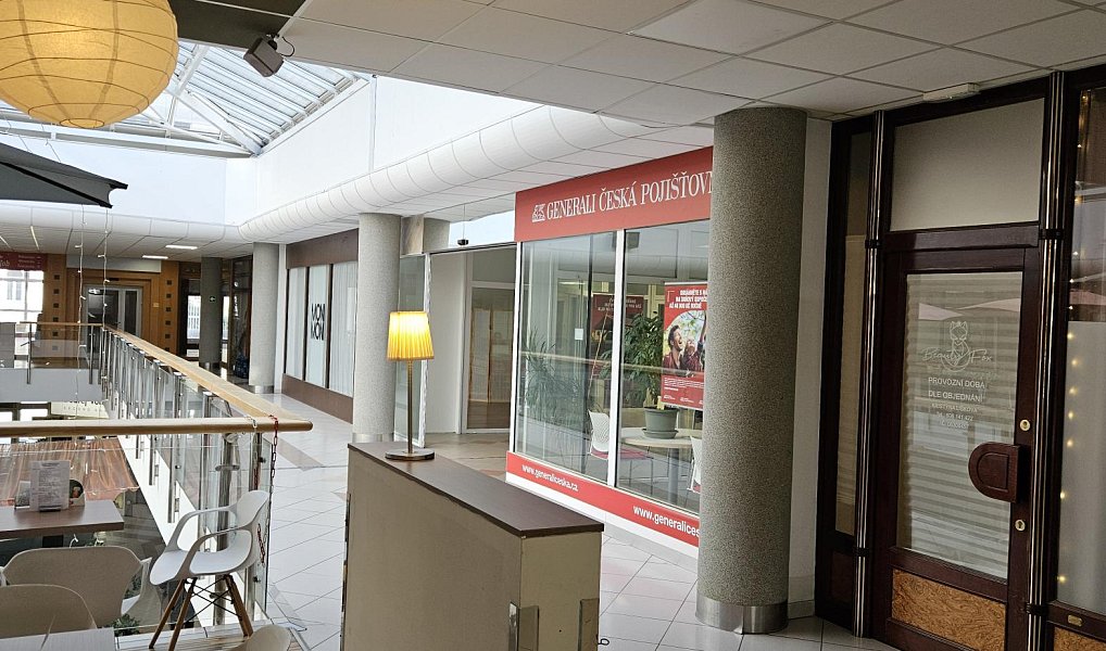 Pronájem obchodních prostor 92 m², Brno – náhled fotky 8