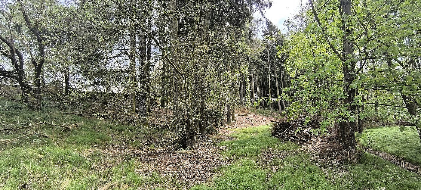 Prodej pozemku 927 m² – fotografie 5