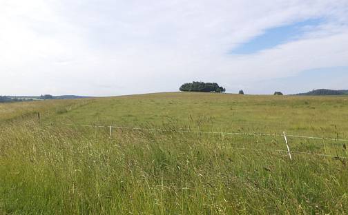 Prodej pozemku 4 031 m², Horní Štěpánov, okres Prostějov