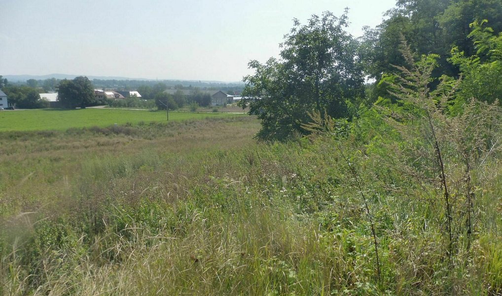 Prodej pole 251 m², Hněvotín – náhled fotky 3